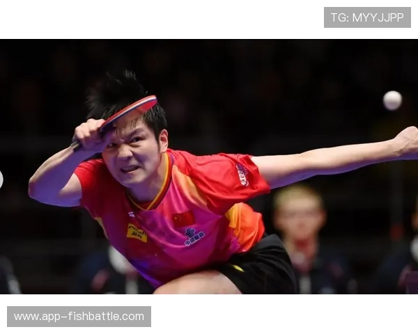 从德甲联赛到全运会：樊振东留洋经历如何影响其卫冕之路